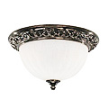Ceiling Mount w/ Glass Shade